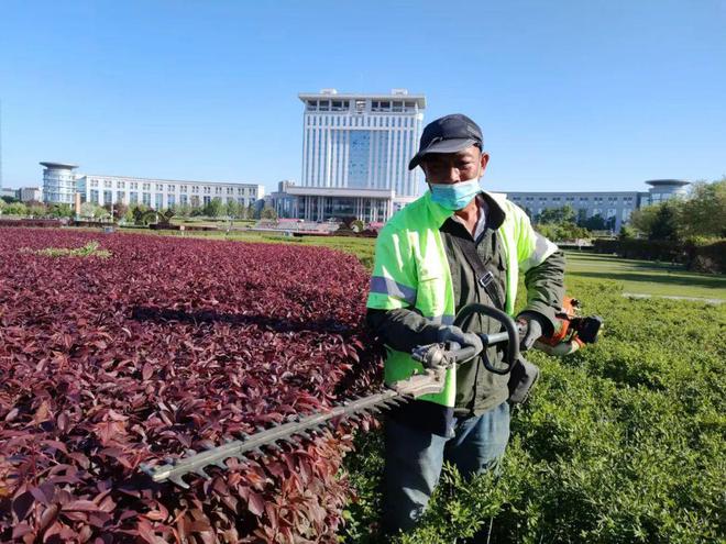 华体育平台网页版加强园林绿化养护管理 营造良好的绿化环境